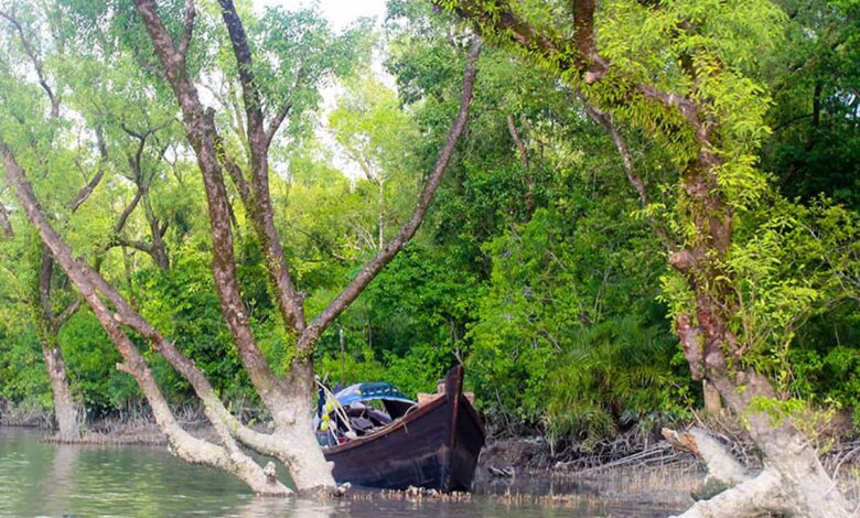 সৈকত সৌন্দর্য্যের জেলা বরগুনা